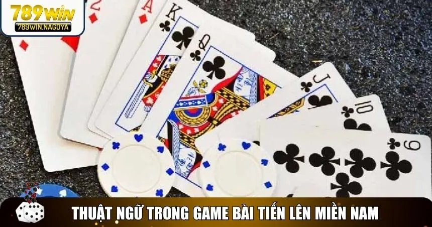 Thuật ngữ chuyên môn trong game bài Tiến lên miền Nam